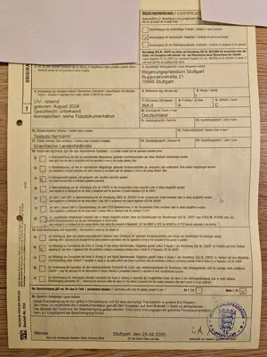 Italienische Landschildkröten Thh von 2025 Bild 6