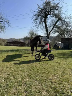 Nachhilfe für Grundschüler