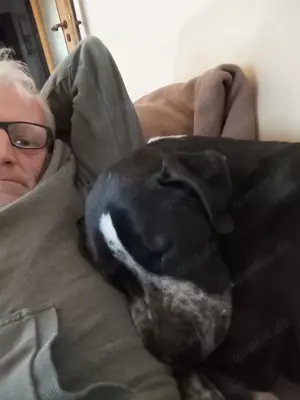 Spike sucht ein Zuhause in ländlicher Umgebung  Bild 8