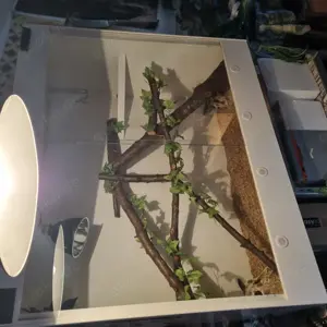 Terrarieum zu verkaufen 