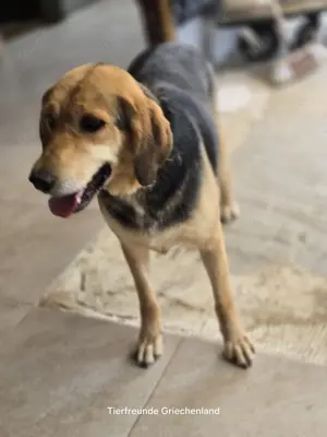 Lara keine Draufgängerin Bild 2