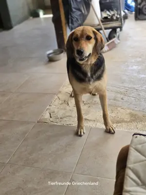 Lara keine Draufgängerin Bild 3