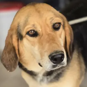 Lara keine Draufgängerin