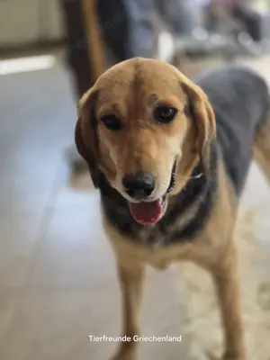 Lara keine Draufgängerin Bild 6