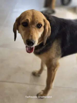 Lara keine Draufgängerin Bild 5