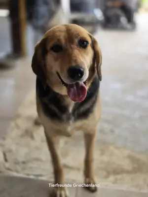 Lara keine Draufgängerin Bild 7