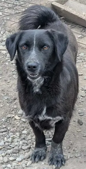 Süße Maya-startklar für ein neues Leben  