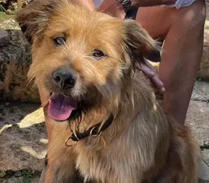 Trufa + Gala - zwei innige Freundinnen, mit traumhaften Charakter, kann man einfach nicht trennen.