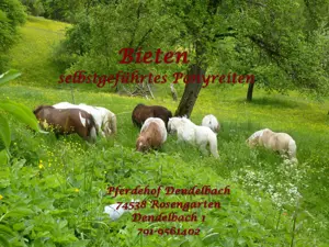 Selbstgeführtes Ponyreiten