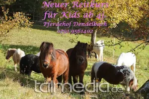 Selbstgeführtes Ponyreiten Bild 6