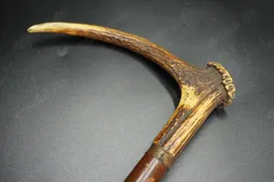 Wanderstock mit Hirschhorn-Winkelgriff, Gesamtlänge 84 cm Bild 6