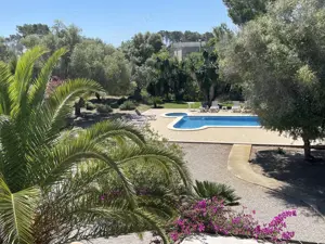 Finca für 4-8 Personen in Santa Margalida  MALLORCA Bild 8