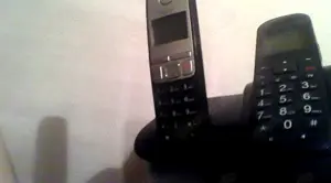 Biete zwei Telefone mit Station und Ladekabel sehr guter Zustand !