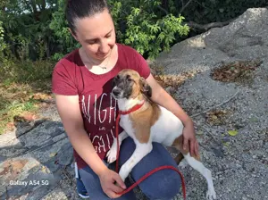 Tessa sucht ihre Menschen Bild 2