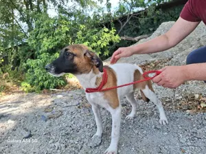 Tessa sucht ihre Menschen