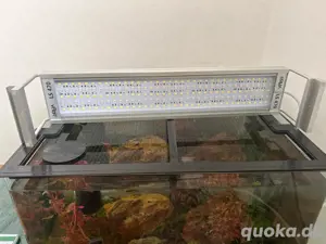 Aquarium dennerle Nano Cube 70l mit LED Filter und Bodenheizung Bild 2