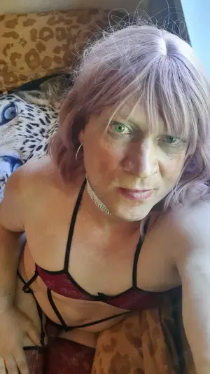 TV für erotisches Sexdate Raum Pforzheim Escort  Bild 2