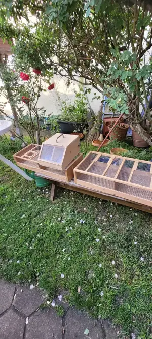 Versandkiste, Vogeltransportkiste, Versandkiste für kleine Tiere Bild 2