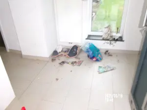 Herr Langers liest: "Die Mietnomaden von Mechernich-Lessenich" und "Sicherheit beim Kreissägen"