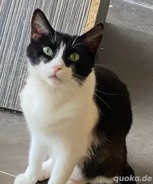 Maya gibt die Hoffnung nicht auf, sie möchte liebe spüren