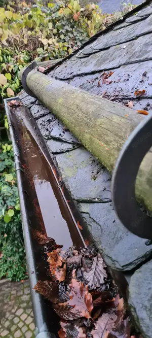 Dachrinnenreinigung in Berlin & Umgebung Bild 4