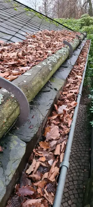 Dachrinnenreinigung in Berlin & Umgebung Bild 5