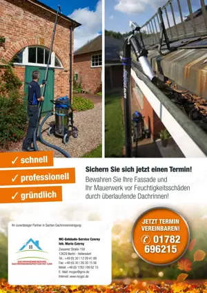 Dachrinnenreinigung in Berlin & Umgebung
