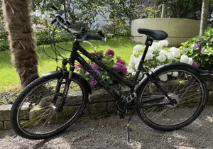 Campus Fahrrad TR4 NuVinci (enviolo) 28 Zoll, sehr gut erhalten