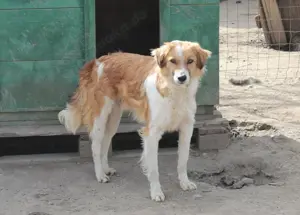 Der süße Haku stellt sich vor