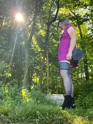 DWTstute sucht Bild 3