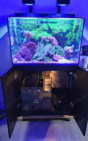 Red Sea Max E260 schwarz inkl. Technikbecken