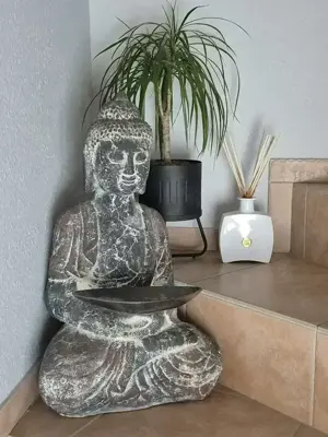 Biete gepflegtes Appartment......