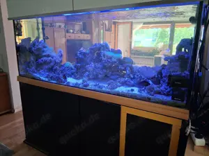Aquarium Meerwasser 180x70x70 mit Unterschrank, Technikbecken ...