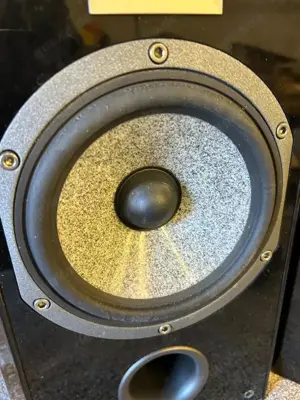 Focal Chorus V 806W Bild 3
