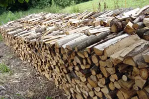 Bestes palettiertes Brennholz 