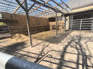 2 Plätze für Offenstall frei 