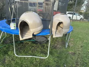 Katzen Toilette  Bild 7