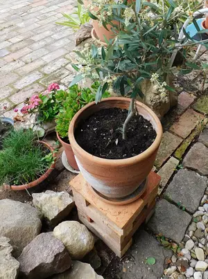 Pflanzenständer Blumentopf Untergestell Garten Konsole Beistelltisch Blumentreppe alte Ziegel Backst Bild 3