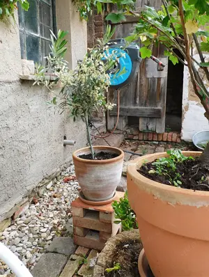 Pflanzenständer Blumentopf Untergestell Garten Konsole Beistelltisch Blumentreppe alte Ziegel Backst Bild 4
