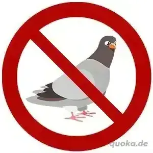 Tauben Schutz 