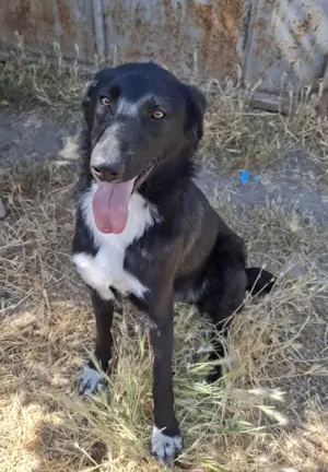 Möchtest du meine Familie sein?