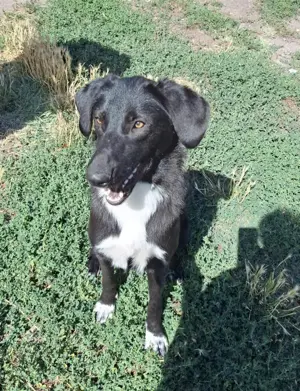 Möchtest du meine Familie sein?