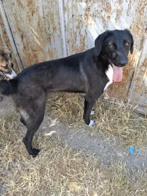 Möchtest du meine Familie sein?