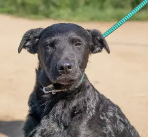 Feri- sein Blick bringt jeden Stein zum Schmelzen 