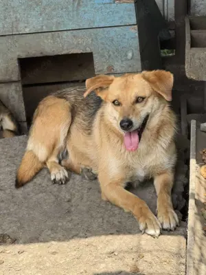 Luna S ca. 50 cm   eine Erscheinung