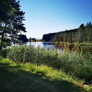 ER sucht SIE für FKK am See 