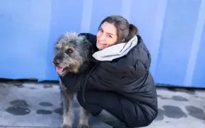 Strubbel-Hündin Rania Bild 12