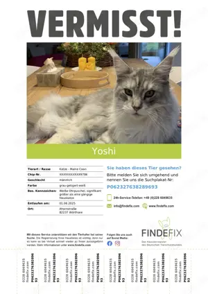 Kater verschwunden in 82237 Steinebach am Wörthsee