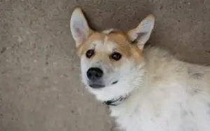 Semmerl wartet auf seine Chance			 Bild 6