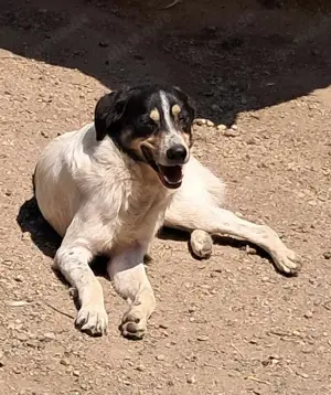 Monty sucht SEINE Menschen Bild 3